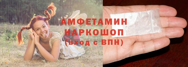 гидра Новодвинск