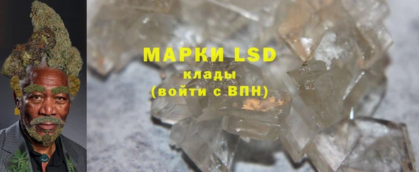 apvp Новозыбков
