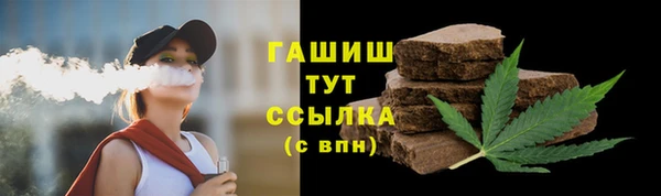 гидра Новодвинск