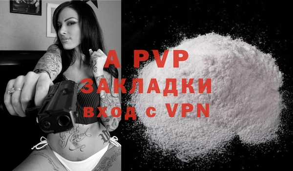 гидра Новодвинск