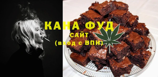 гидра Новодвинск