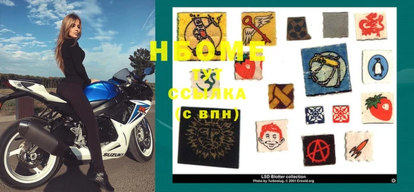 гидра Новодвинск