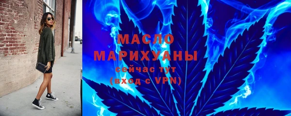гидра Новодвинск