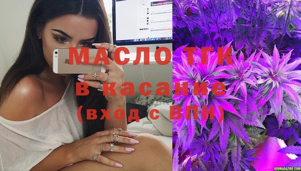 гидра Новодвинск