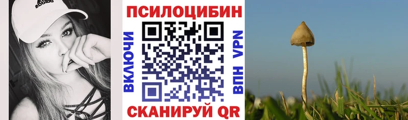 kraken ТОР  Струнино  Псилоцибиновые грибы GOLDEN TEACHER  наркошоп 
